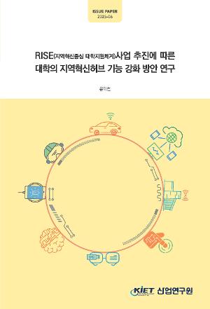 RISE(지역혁신중심 대학지원체계)사업 추진에 따른 대학의 지역혁신허브 기능 강화 방안 연구 